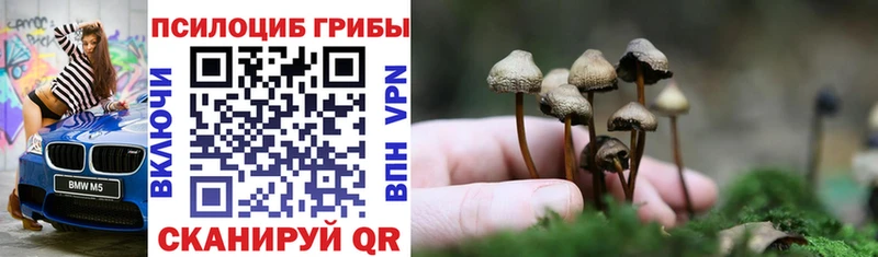 Галлюциногенные грибы Magic Shrooms  наркота  Палласовка 